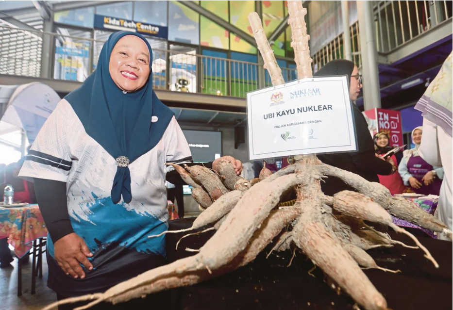 NORAZLINA menunjukkan ubi kayu nuklear hasil penyelidikannya. FOTO MOHAMAD SHAHRIL BADRI SAALI