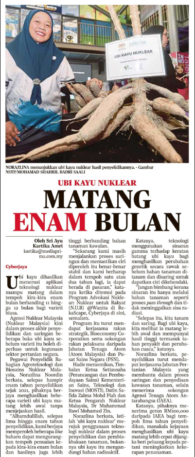 ubi kayu nuklear